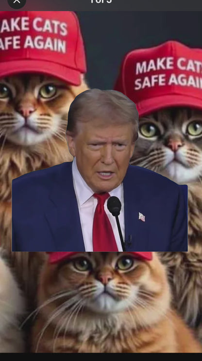 Gorra de béisbol bordada MAGA Make Cats Safe Again, gorra roja tipo camionero con cierre a presión